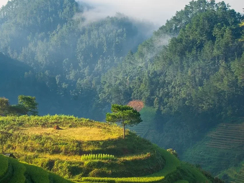 🌫️ ILLUSIONS: AWAKENING FROM THE FALSE WORLD TO REACH HEAVEN | MASTER WOO MYUNG | SANTA CLARA MEDITATION