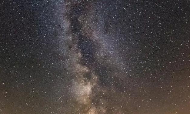 🌼 THE ERA WHEN HUMANS ARE VALUED AND HAVE RIGHTS: people are valued because the world exists only when people exist | MASTER WOO MYUNG | SANTA CLARA MEDITATION