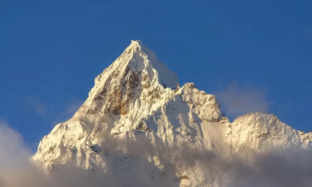 ☀️ THE MASTER: REALIZING THE MIND THAT CONTAINS ALL THINGS | MASTER WOO MYUNG | SANTA CLARA MEDITATION