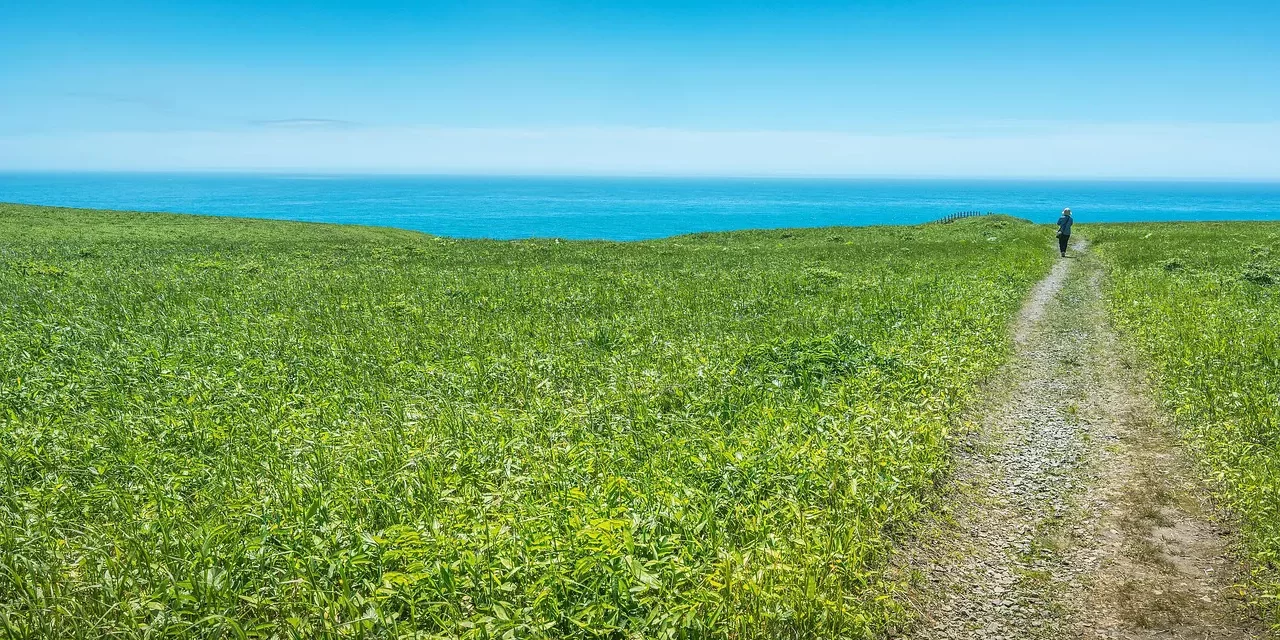 🌄 EXISTENT CREATIONS EXIST | MASTER WOO MYUNG | SANTA CLARA MEDITATION