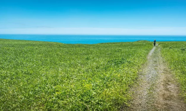 🌄 EXISTENT CREATIONS EXIST | MASTER WOO MYUNG | SANTA CLARA MEDITATION