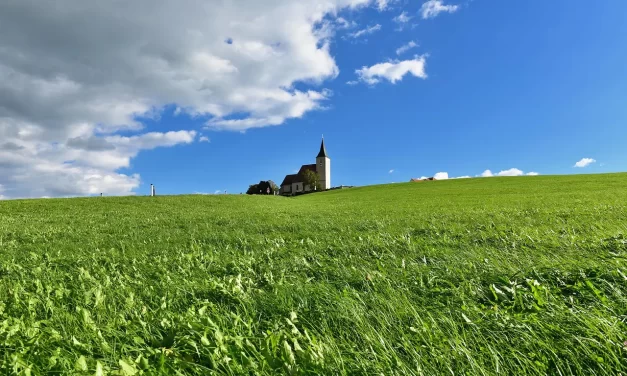 🌍 The Reason There Are Countless Religious Denominations: why division occurs in religion | Master Woo Myung | Santa Clara Meditation
