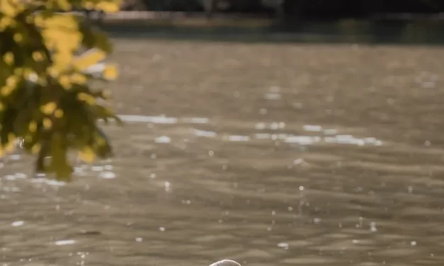 🌿 WE ARE NOT LIVING IN THE RIGHT WAY | MASTER WOO MYUNG | SANTA CLARA MEDITATION