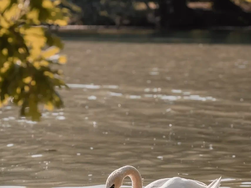 🌿 WE ARE NOT LIVING IN THE RIGHT WAY | MASTER WOO MYUNG | SANTA CLARA MEDITATION