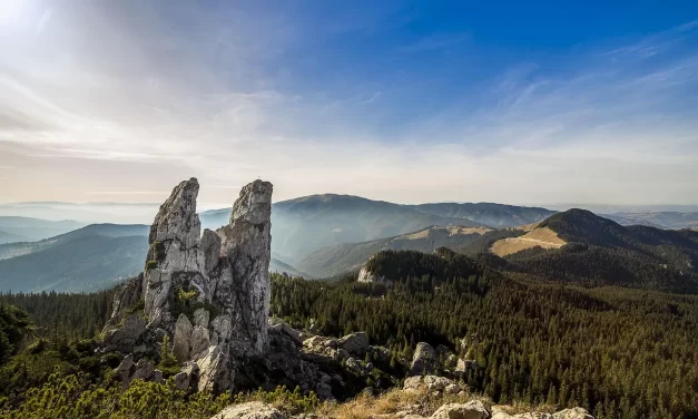 🌌 The Way Forward for Man: Reaching True Liberation | Master Woo Myung | Santa Clara Meditation