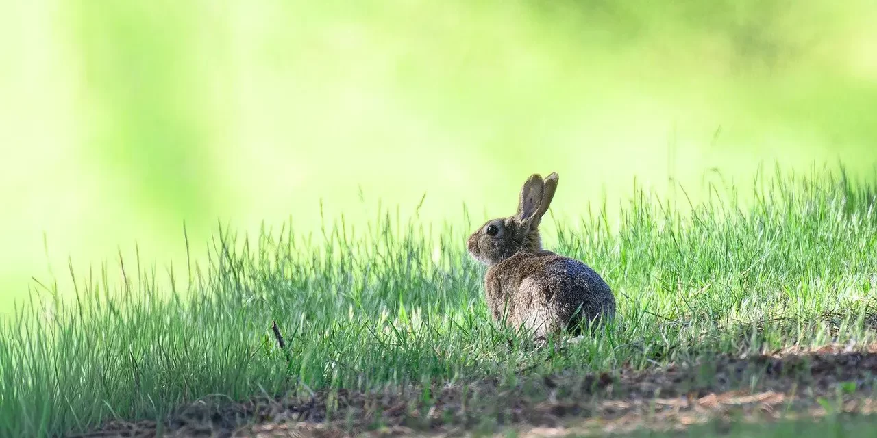 🔱 YOU WILL NEVER BE RID OF YOUR KLESHAS UNLESS YOU HAVE RECEIVED GOD’S SEAL ON YOUR FOREHEAD: COMPLETE REPENTANCE AND LIBERATION | MASTER WOO MYUNG | SANTA CLARA MEDITATION