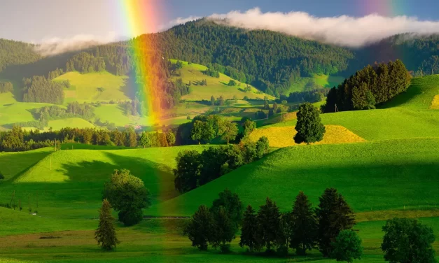 🌈 WHAT IS HEAVEN AND WHAT IS HELL?: Heaven Is the Mind of Origin, Hell Is the False Mind | MASTER WOO MYUNG | SANTA CLARA MEDITATION