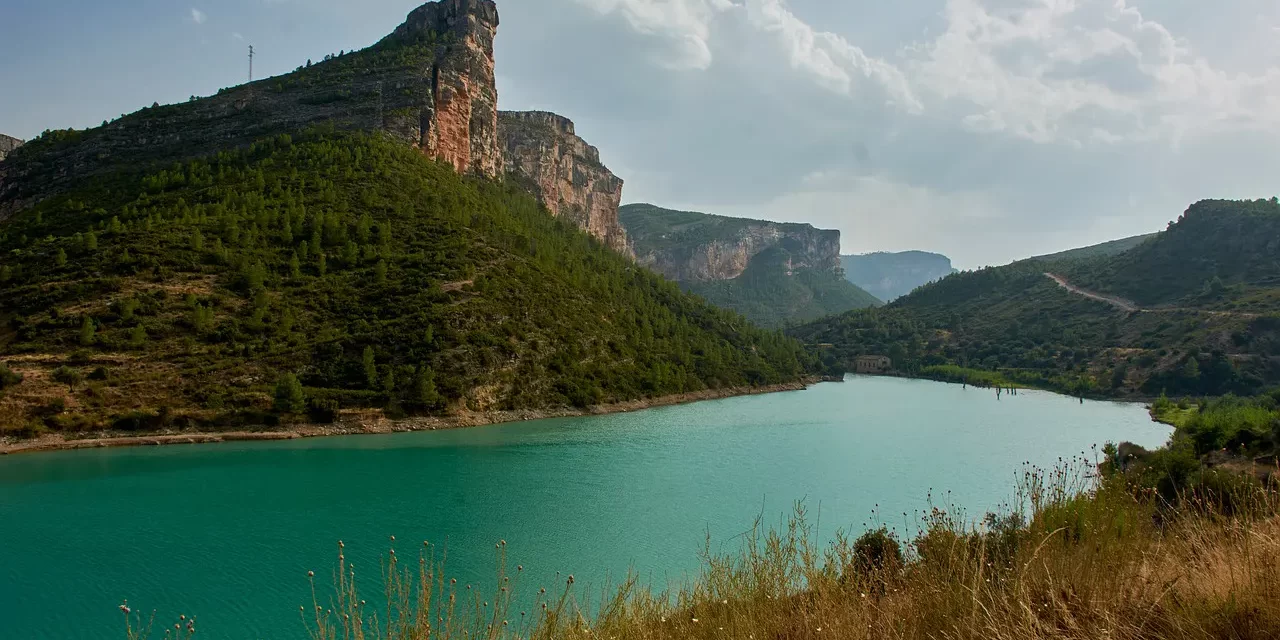 🌿 THE REASON AND PURPOSE WHY ONE IS BORN INTO AND LIVES IN THIS WORLD IS TO LIVE: Now is the time when you can be born as Truth and live eternally while living | MASTER WOO MYUNG | SANTA CLARA MEDITATION