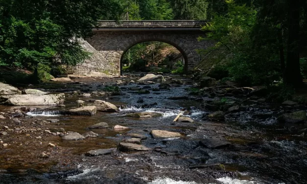 🌺 The Age of Nature’s Flow: True Love Emerges When One Acts Without Self | Master Woo Myung | Santa Clara Meditation