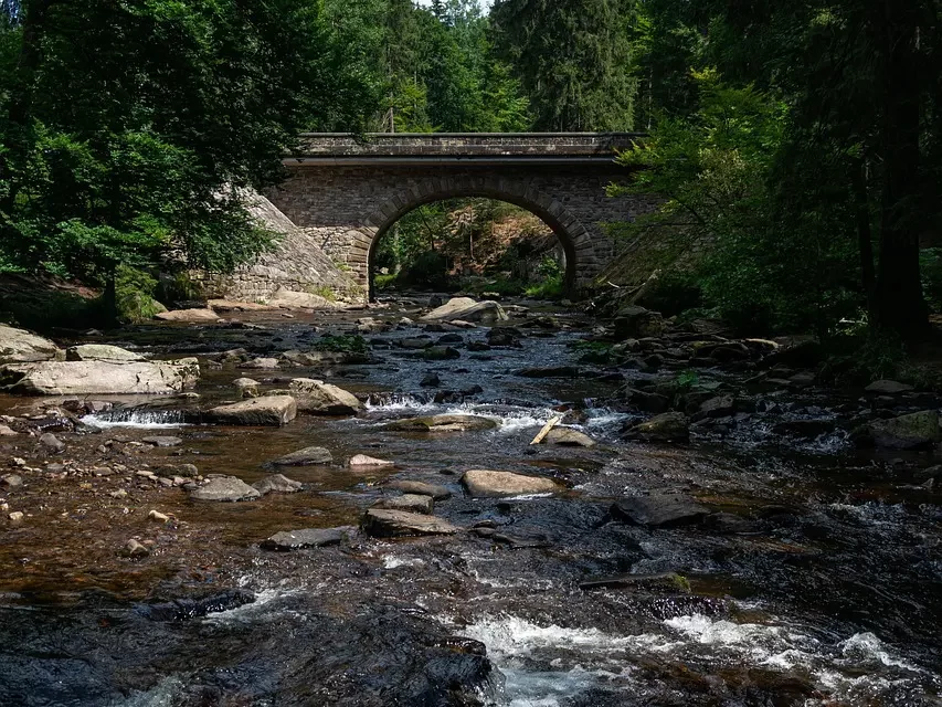 🌺 The Age of Nature’s Flow: True Love Emerges When One Acts Without Self | Master Woo Myung | Santa Clara Meditation