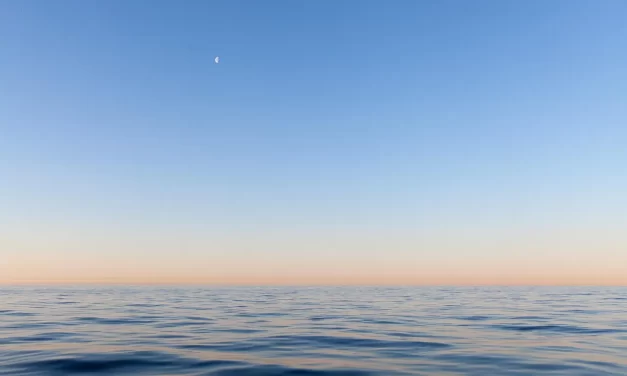 🌟 That Man Was Created in the Image of God | Master Woo Myung | Santa Clara Meditation