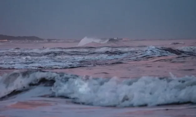 🌈 Everything We Hear Exists Just As It Is, and Everything We See Is Truth Just As It Is | Master Woo Myung | Santa Clara Meditation