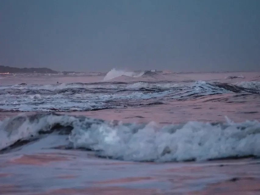 🌈 Everything We Hear Exists Just As It Is, and Everything We See Is Truth Just As It Is | Master Woo Myung | Santa Clara Meditation