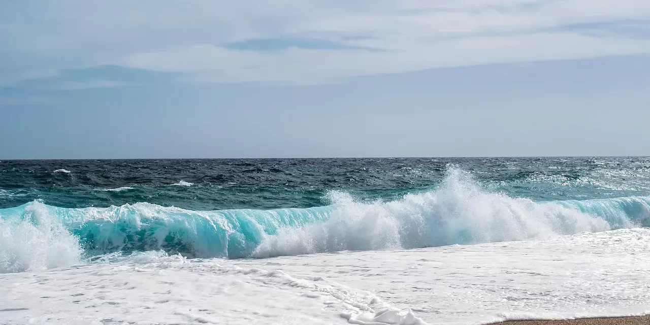 🌄 To Have Completely Died: the true meaning of death and rebirth as Truth | Master Woo Myung | Santa Clara Meditation