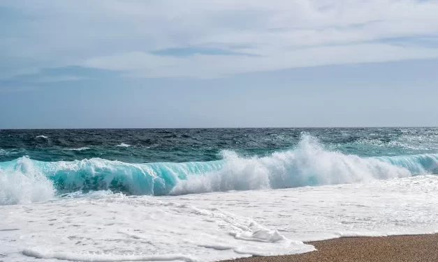 🌄 To Have Completely Died: the true meaning of death and rebirth as Truth | Master Woo Myung | Santa Clara Meditation