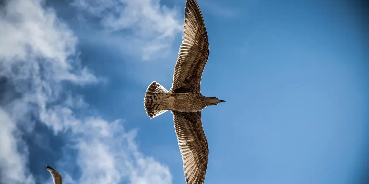🌿 Only When You Go Towards Truth Will There Be Enlightenment: Enlightenment Comes From Cleansing the Self and Heading Towards Truth | Master Woo Myung | Santa Clara Meditation