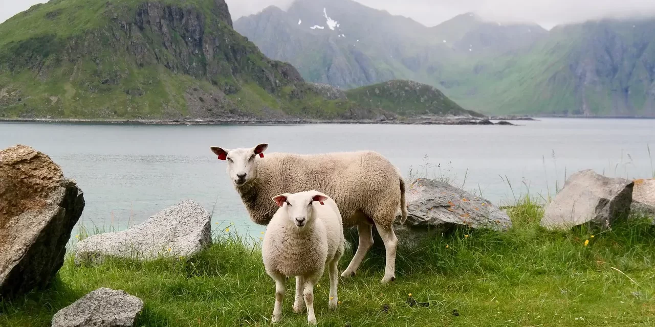 🌿 The Reason Man Is False: Awakening to Truth | Master Woo Myung | Santa Clara Meditation