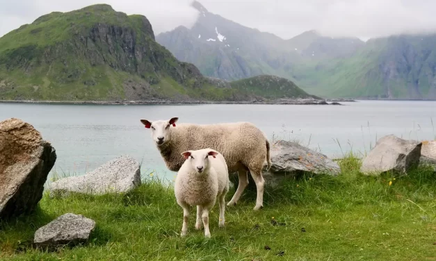 🌿 The Reason Man Is False: Awakening to Truth | Master Woo Myung | Santa Clara Meditation