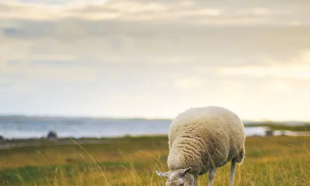 🌈 Do Heaven and Hell Truly Exist?: heaven hell karma illusion | Master Woo Myung | Santa Clara Meditation