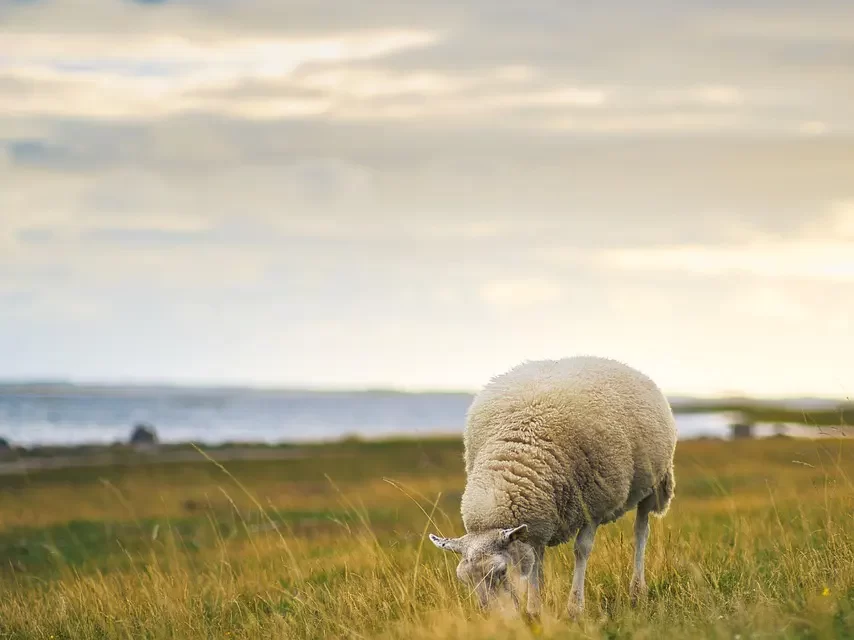 🌈 Do Heaven and Hell Truly Exist?: heaven hell karma illusion | Master Woo Myung | Santa Clara Meditation