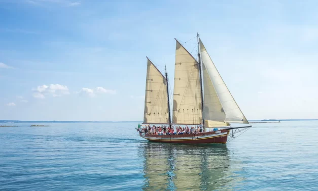 ☀️ WHY GOD HIMSELF COMES TO THE WORLD AS THE SAVIOR: THE HEAVENLY FLOW OF TRUTH AND COMPLETION | MASTER WOO MYUNG | SANTA CLARA MEDITATION