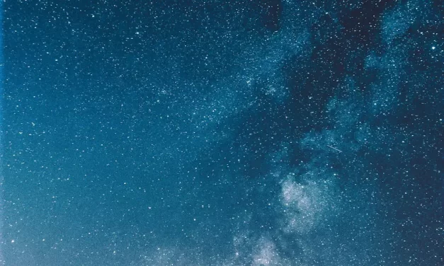 🌹 What Is Love? True Meaning of Love | Master Woo Myung | Santa Clara Meditation