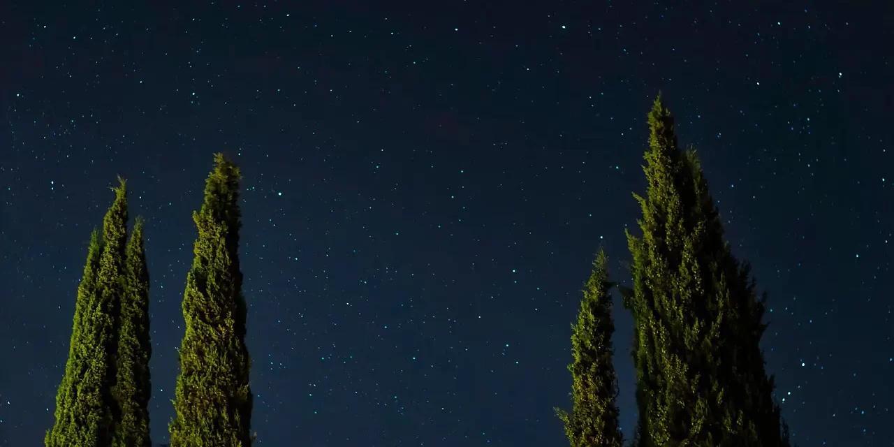 🌌 HOW TO FIND THE MIND OF THE UNIVERSE WITH EASE: The Mind is the Universe | MASTER WOO MYUNG | SANTA CLARA MEDITATION