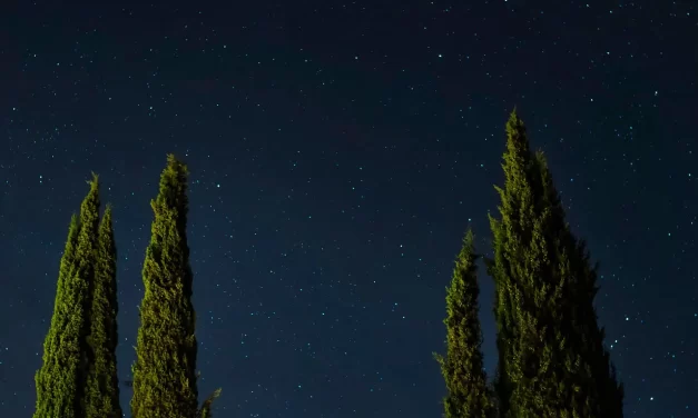 🌌 HOW TO FIND THE MIND OF THE UNIVERSE WITH EASE: The Mind is the Universe | MASTER WOO MYUNG | SANTA CLARA MEDITATION