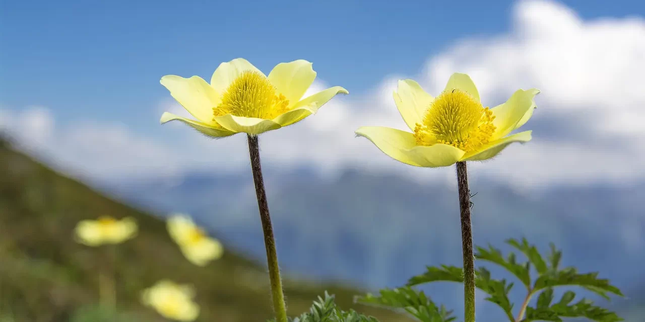 🌟 ALL PEOPLE END UP DYING: Only Those Born in Truth Live Forever | MASTER WOO MYYUNG | SANTA CLARA MEDITATION