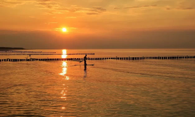 🌞 THE MIND CREATES EVERYTHING: One’s own mind determines life or death | MASTER WOO MYUNG | SANTA CLARA MEDITATION