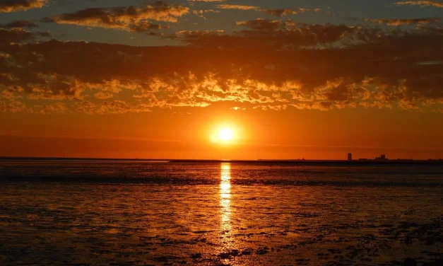 🌙 SAMSĀRA: THE DREAM OF DELUSION AND THE REALITY OF TRUTH | MASTER WOO MYUNG | SANTA CLARA MEDITATION