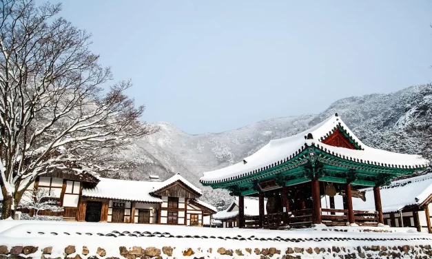 🌈 The True Meaning of the Second Advent: arrival of Truth beyond form | Master Woo Myung | Santa Clara Meditation