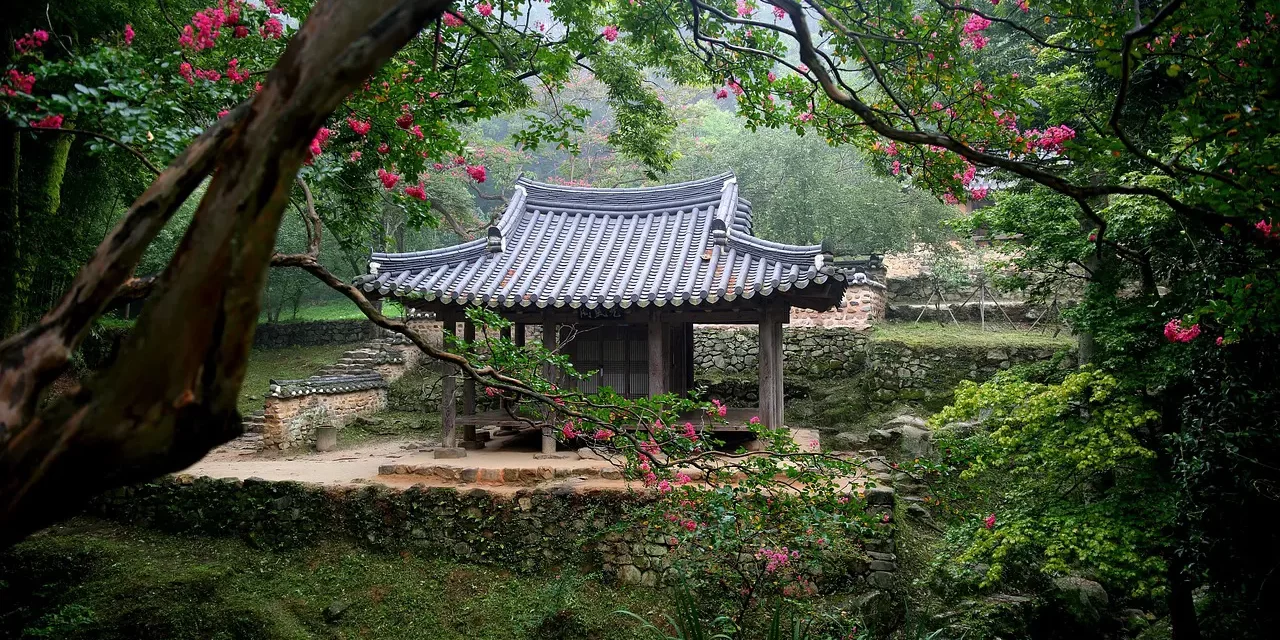 🌄 PRAVRAJYĀ: From Asceticism to Truth in Everyday Life | MASTER WOO MYUNG | SANTA CLARA MEDITATION