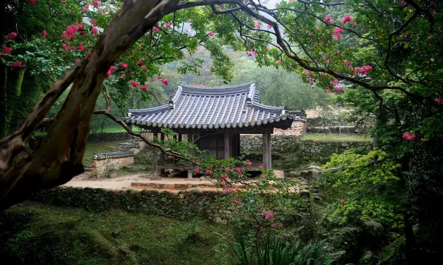 🌄 PRAVRAJYĀ: From Asceticism to Truth in Everyday Life | MASTER WOO MYUNG | SANTA CLARA MEDITATION