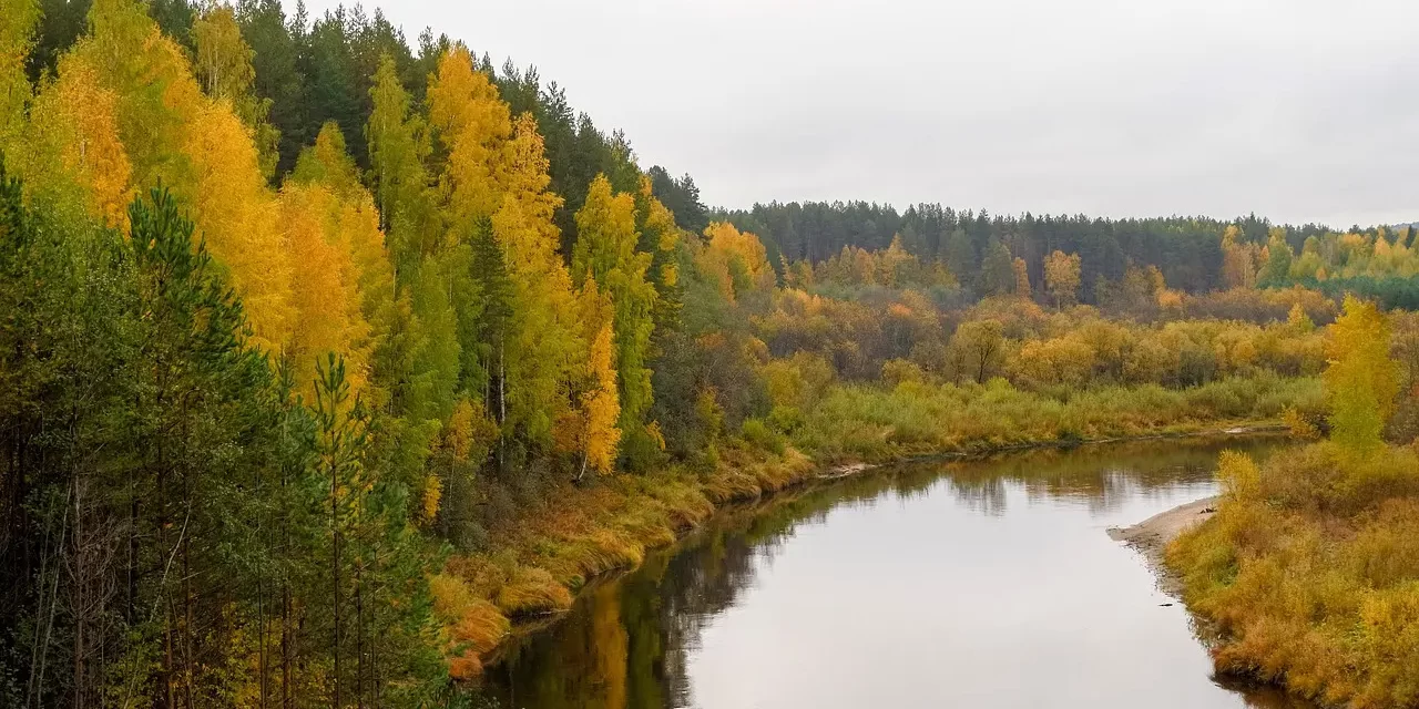🌸 LIVING BY CONDITION, DYING BY CONDITION: the law of condition and oneness | MASTER WOO MYUNG | SANTA CLARA MEDITATION