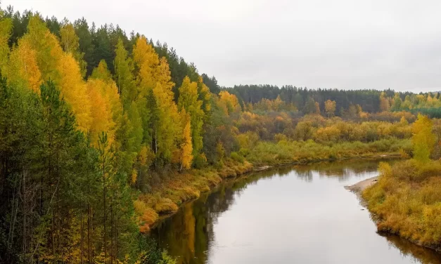 🌸 LIVING BY CONDITION, DYING BY CONDITION: the law of condition and oneness | MASTER WOO MYUNG | SANTA CLARA MEDITATION