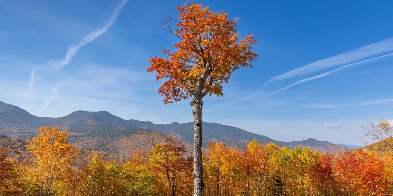 🌞 EXISTENCE: The whole exists when there is no individual self | MASTER WOO MYUNG | SANTA CLARA MEDITATION