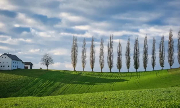 🌤️ DREAMS AND REALITY FOR ONE WHO HAS AWAKENED: The life he lives and reality are one and the same | MASTER WOO MYUNG | SANTA CLARA MEDITATION