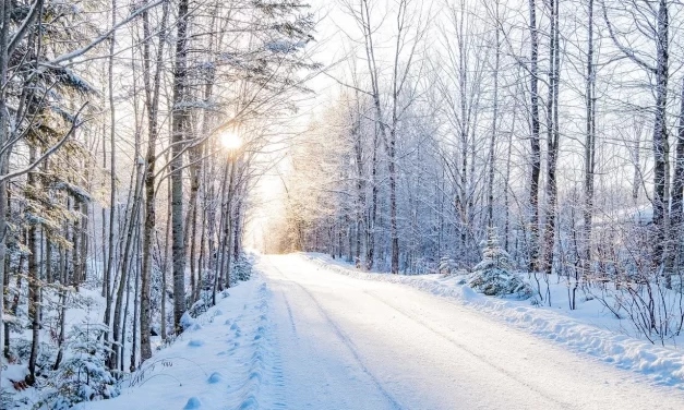 🌄 CAN THE HUMAN BODY LIVE FOREVER?: The Body Cannot Live Forever Because It Is of Nature | MASTER WOO MYUNG | SANTA CLARA MEDITATION