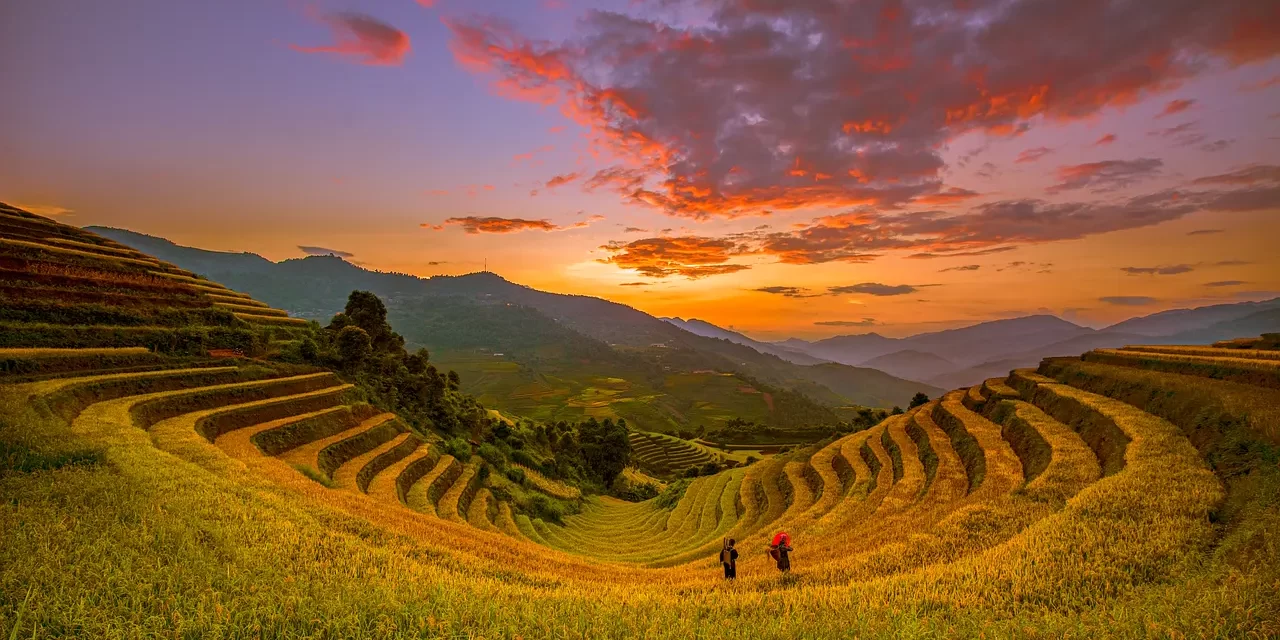 🌾 THE MEANING BEHIND “WORDS BECOMING SEEDS” | MASTER WOO MYUNG | SANTA CLARA MEDITATION