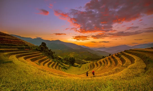🌾 THE MEANING BEHIND “WORDS BECOMING SEEDS” | MASTER WOO MYUNG | SANTA CLARA MEDITATION