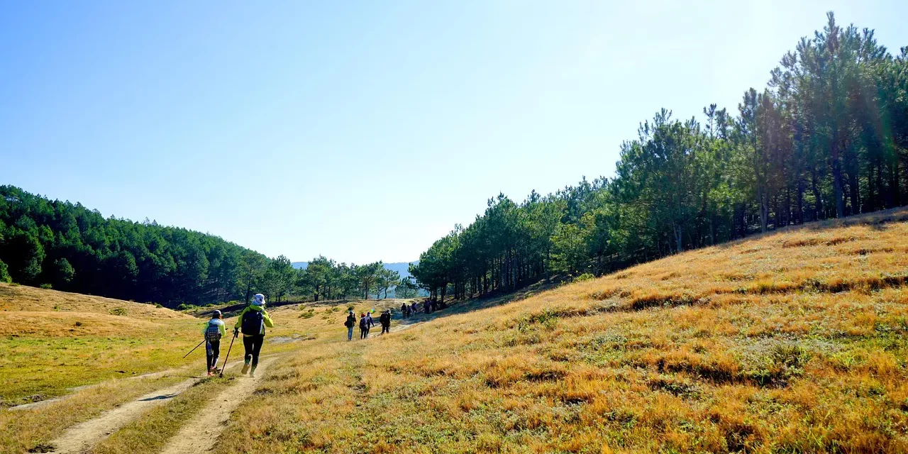 🚶‍♂️✨ A WALK: QUIET CONTEMPLATION IN TRUTH | MASTER WOO MYUNG | SANTA CLARA MEDITATION