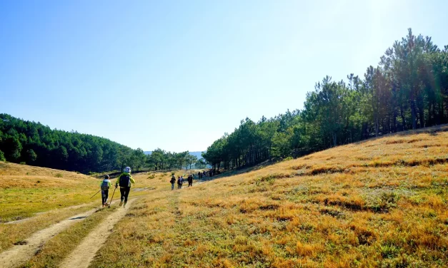 🚶‍♂️✨ A WALK: QUIET CONTEMPLATION IN TRUTH | MASTER WOO MYUNG | SANTA CLARA MEDITATION