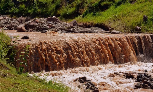 🌠 WHAT ARE THE EYES AND EARS OF HEAVEN? | MASTER WOO MYUNG | SANTA CLARA MEDITATION