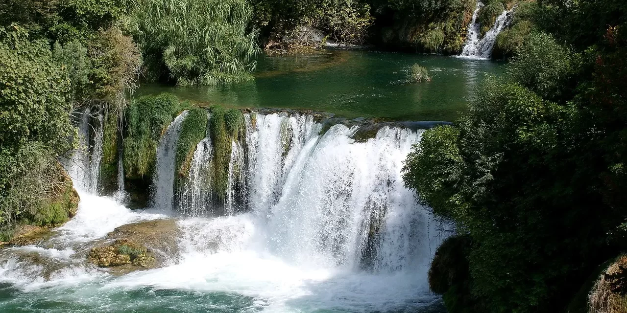 🌟 Fate: life one has lived and true freedom | Master Woo Myung | Santa Clara Meditation