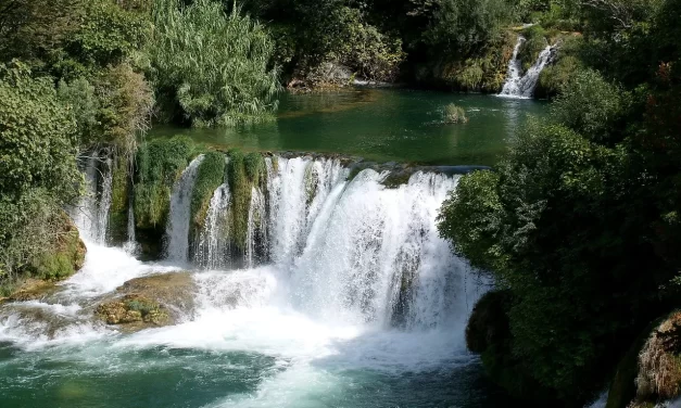 🌟 Fate: life one has lived and true freedom | Master Woo Myung | Santa Clara Meditation