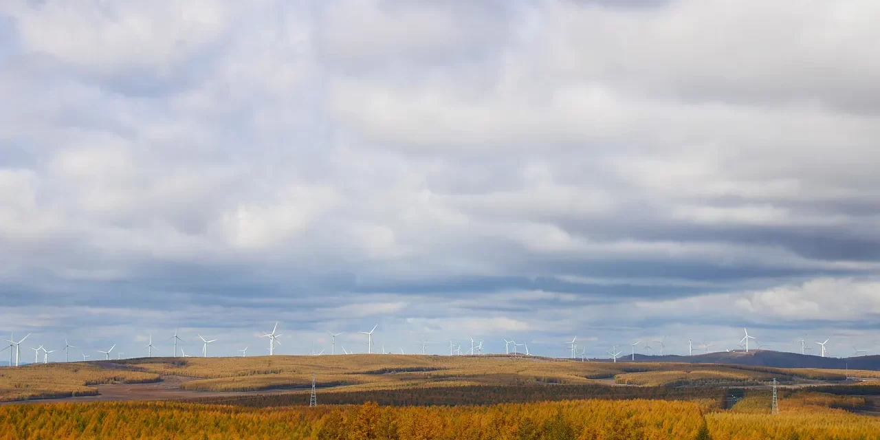 🌻 THE SAVIOR: Salvation is when the false self becomes real | MASTER WOO MYUNG | SANTA CLARA MEDITATION