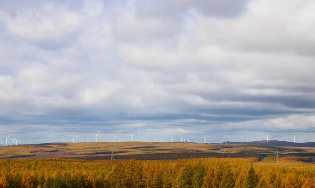 🌻 THE SAVIOR: Salvation is when the false self becomes real | MASTER WOO MYUNG | SANTA CLARA MEDITATION