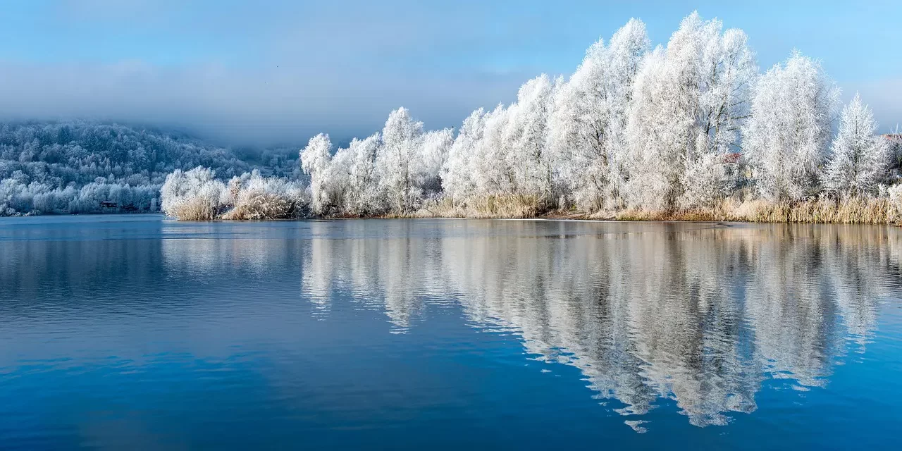 🔥 Demons or Mara: The Self-Centered Mind That Opposes Truth | MASTER WOO MYUNG | SANTA CLARA MEDITATION