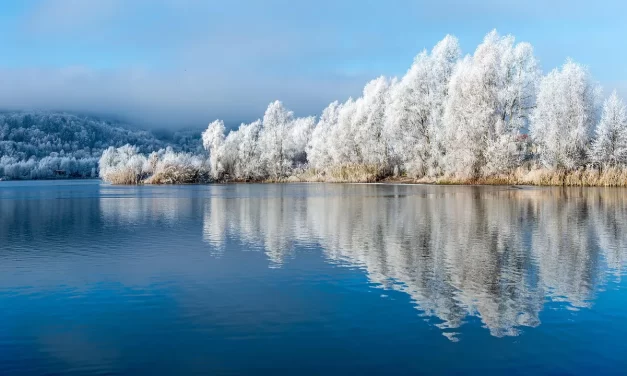 🔥 Demons or Mara: The Self-Centered Mind That Opposes Truth | MASTER WOO MYUNG | SANTA CLARA MEDITATION